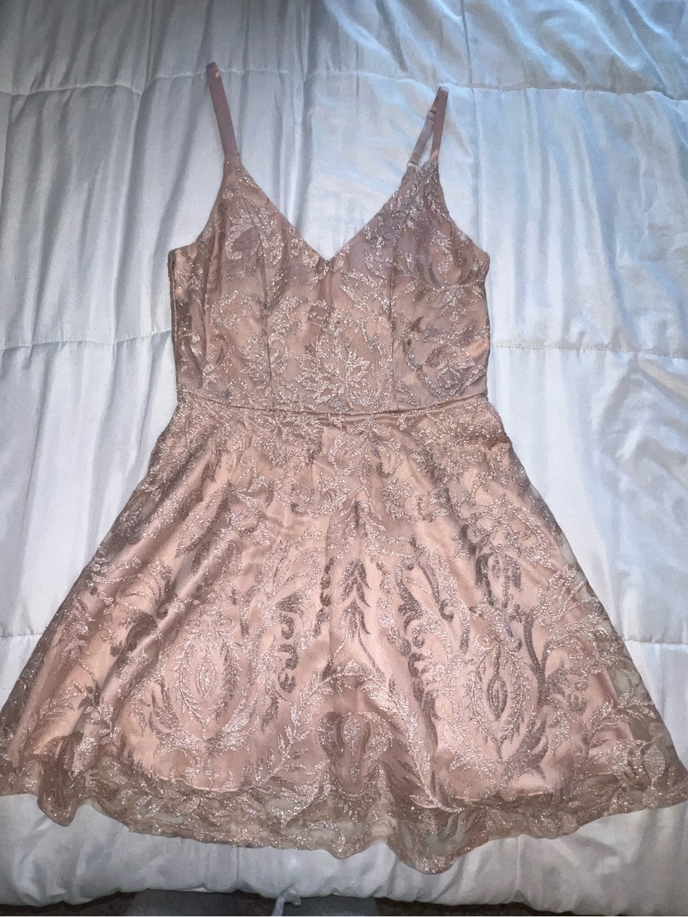 Xtraordinary Blush Pink Lace A-Line Mini Dress